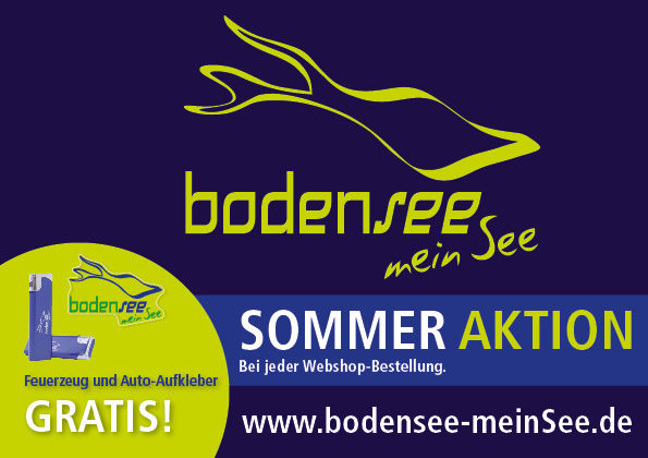 Flyer-Sommer-Aktion